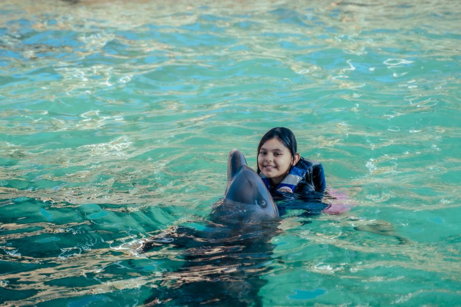 Interacción con Delfines Acuario Rodadero